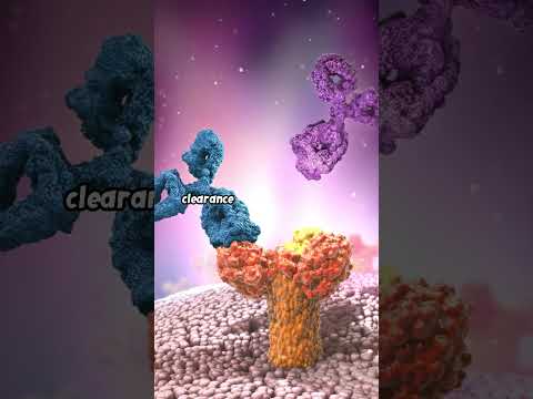 Alzheimer&#039;s Vaccine Breakthroughs A New Hope