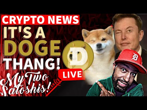 Dogecoin to Soar Beyond Expectations! Crypto Blood Explains Why It’s Possible!